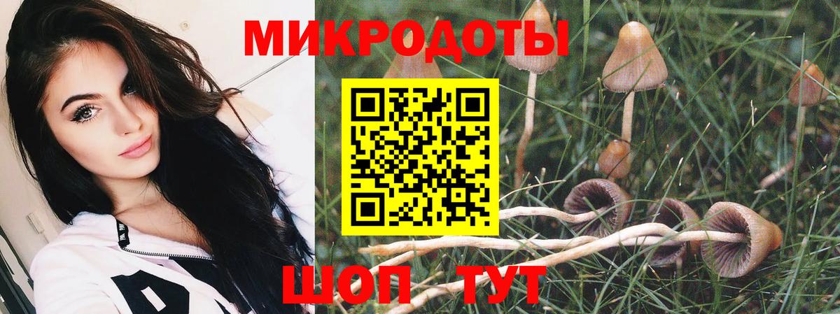 Псилоцибиновые грибы прущие грибы  Псилоцибиновые грибы Cubensis  Вход с VPN  Красноуфимск 
